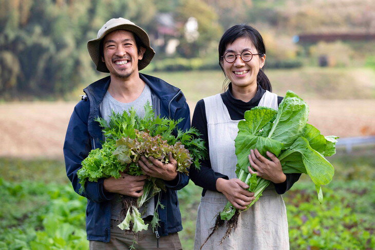 【ふるさと納税】わたね　季節の里山旬菜詰め合わせBOX（計10品）≪ギフト セット 野菜 無農薬 グルメ≫※着日指定不可