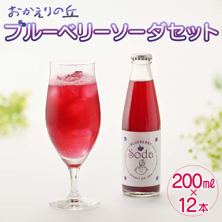 20位! 口コミ数「0件」評価「0」栃木県市貝町「おかえりの丘」ブルーベリーソーダセット