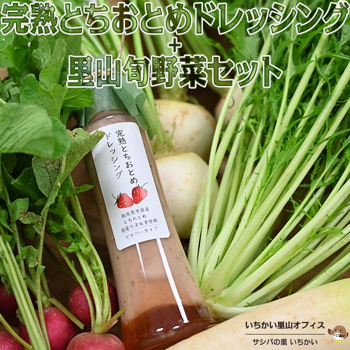 5位! 口コミ数「1件」評価「4」完熟とちおとめドレッシングと里山旬野菜セット