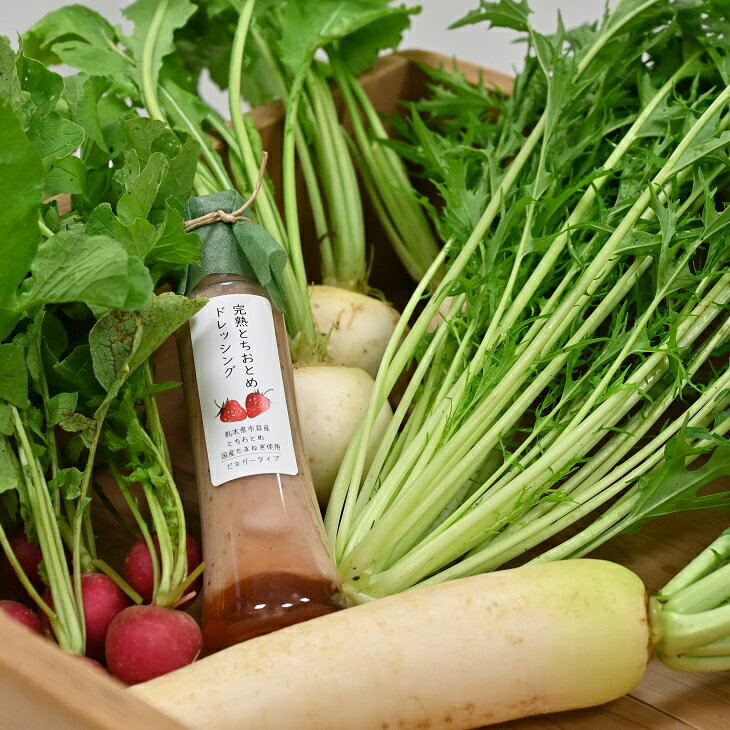 【ふるさと納税】完熟とちおとめドレッシングと里山旬野菜セット