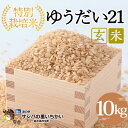 【ふるさと納税】市貝町産 特別栽培米〈ゆうだい21〉玄米10kg | 国産 栃木県産米 お米 特別栽培米 栃木米 とちぎ米 ※離島への配送不可 ※2025年9月中旬頃より順次発送予定