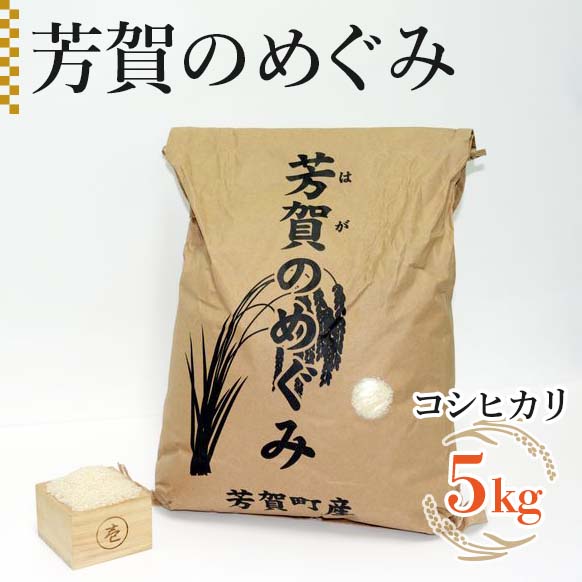 楽天ふるさと納税　【ふるさと納税】「芳賀のめぐみ」コシヒカリ　5kg 袋入り　栃木県芳賀町産◇ ｜ 米 お米 ご飯 国産 送料無料※離島への配送不可