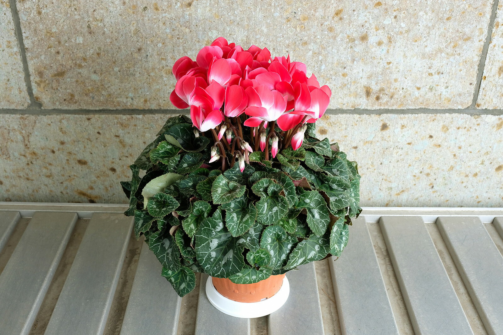 栃木県芳賀町の画像2