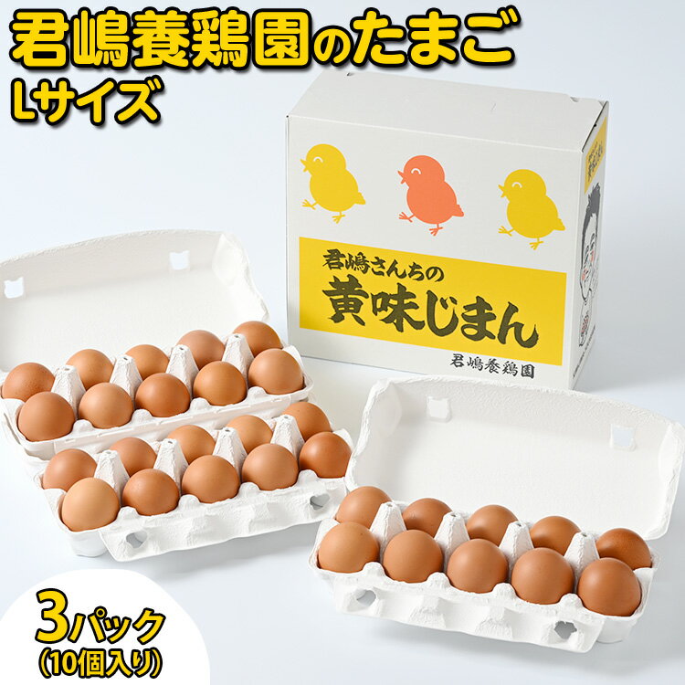 【ふるさと納税】君嶋養鶏園のたまご Lサイズ 27個＋割れ補償3個（10個入り×3パック）計30個 | 卵 玉子 たまご 赤卵 赤たまご 生卵 国..