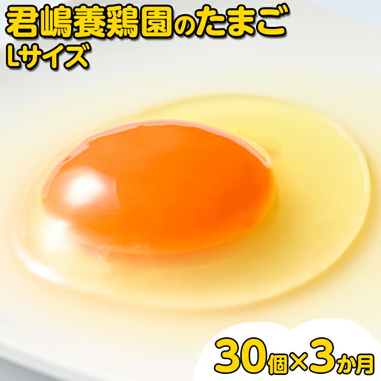 【ふるさと納税】【3か月定期便】君嶋養鶏園のたまご Lサイズ 30個（27個＋割れ補償3個）×3ヶ月 計90個 | 定期便 3ヶ月 3か月 3ヵ月 卵 玉子 たまご 赤卵 赤たまご 生卵 国産 濃厚 鶏卵 コク 旨味※着日指定不可