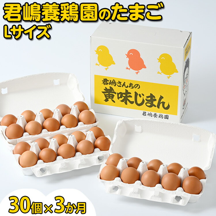 6位! 口コミ数「0件」評価「0」【3か月定期便】君嶋養鶏園のたまご Lサイズ 30個（27個＋割れ補償3個）×3ヶ月 計90個 | 定期便 3ヶ月 3か月 3ヵ月 卵 玉子･･･ 