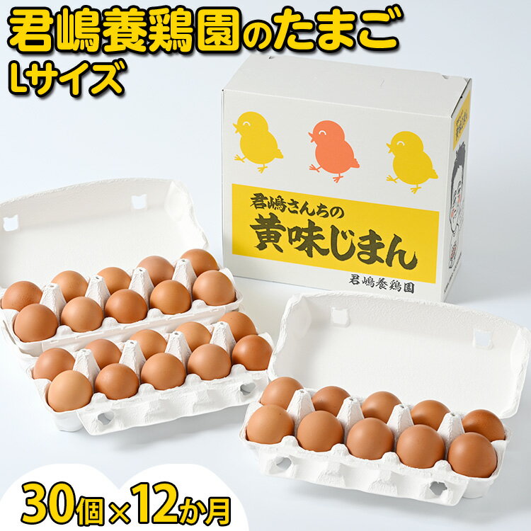 4位! 口コミ数「0件」評価「0」【12か月定期便】君嶋養鶏園のたまご Lサイズ 30個（27個＋割れ補償3個）×12ヶ月 計360個 | 定期便 12ヶ月 12か月 12ヵ･･･ 