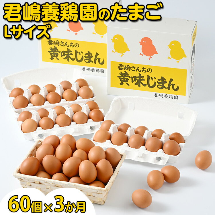 【ふるさと納税】【3か月定期便】君嶋養鶏園のたまご Lサイズ 60個（55個＋割れ補償5個）×3ヶ月 計180個 | 定期便 3ヶ月 3か月 3ヵ月 卵 玉子 たまご 赤卵 赤たまご 生卵 国産 濃厚 鶏卵 コク 旨味※着日指定不可