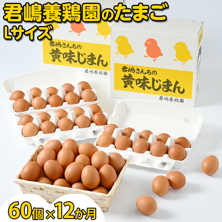 3位! 口コミ数「0件」評価「0」【12か月定期便】君嶋養鶏園のたまご Lサイズ 60個（55個＋割れ補償5個）×12ヶ月 計720個 | 定期便 12ヶ月 12か月 12ヵ･･･ 