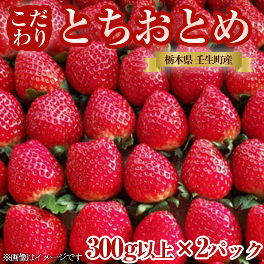 【ふるさと納税】栃木県産 こだわり とちおとめ【300g以上 2パック】| 家庭用 完熟 朝摘み 苺 いちご イチゴ とちおとめ 果物 フルーツ 秀品 贈答 栃木県 壬生町 産地直送 2024年12月中旬頃よ…