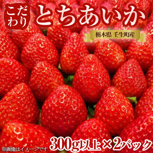 栃木県産 こだわり とちあいか【300g以上×2パック】| 家庭用 完熟 朝摘み 苺 いちご イチゴ とちあいか 果物 フルーツ 秀品 贈答 栃木県 壬生町 産地直送 ※2024年11月中旬頃より順次発送予定