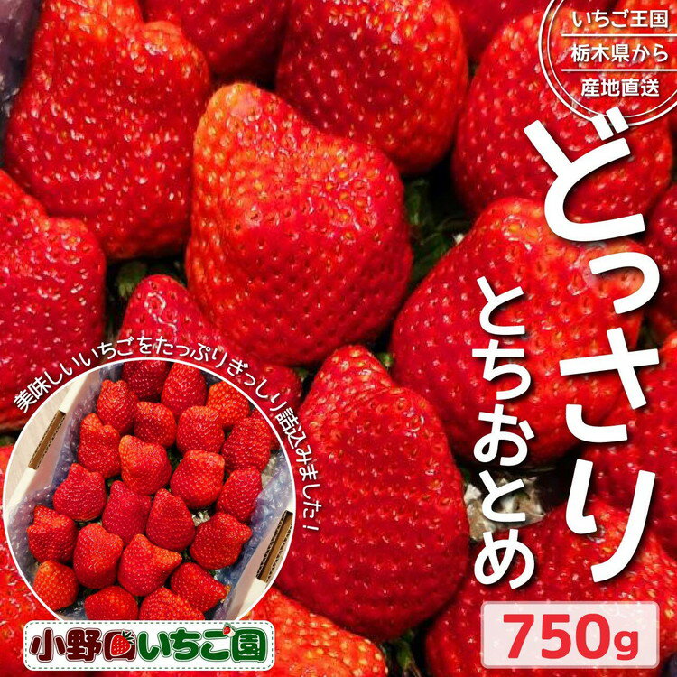 【ふるさと納税】栃木県産 どっさりとちおとめ【750g】 ｜ 家庭用 完熟 朝摘み 苺 いちご イチゴ とちおとめ 果物 フルーツ 秀品 栃木県 壬生町 産地直送 ※2024年12月中旬～2025年3月下旬頃に順次発送予定 ※離島への配送不可
