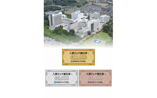 【ふるさと納税】獨協医科大学病院 人間ドック 割引券 (11,000円) 健康診断 費用 クーポン 栃木県壬生町