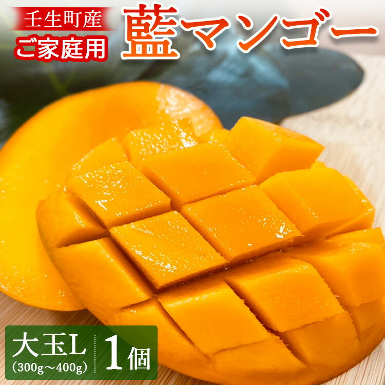 [先行受付]壬生町産家庭用藍マンゴー 大玉L(300g〜400g)1個 マンゴー フルーツ 果物 くだもの 国産 栃木県 壬生町※2024年7月中旬頃より順次発送予定※北海道・沖縄・離島への配送不可※着日指定不可