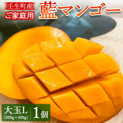 《先行受付》壬生町産家庭用藍マンゴー 大玉L（300g～400g）1個 マンゴー フルーツ 果物 くだもの 国産 栃木県 壬生町※2024年7月中旬頃より順次発送予定※北海道・沖縄・離島への配送不可※着日指定不可