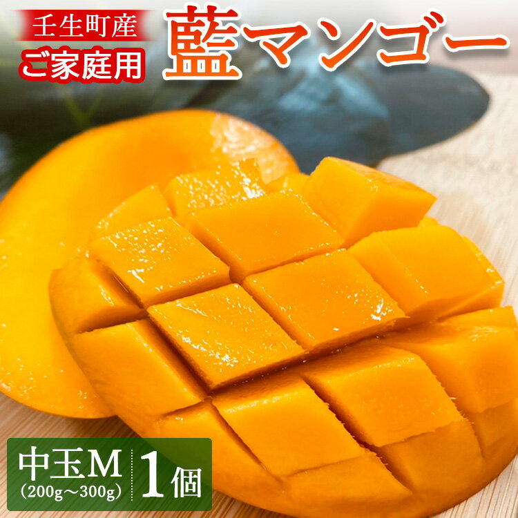 《先行受付》壬生町産家庭用藍マンゴー 中玉M（200g～300g）1個 マンゴー フルーツ 果物 くだもの 国産 栃木県 壬生町※2024年7月中旬頃より順次発送予定※北海道・沖縄・離島への配送不可※着日指定不可