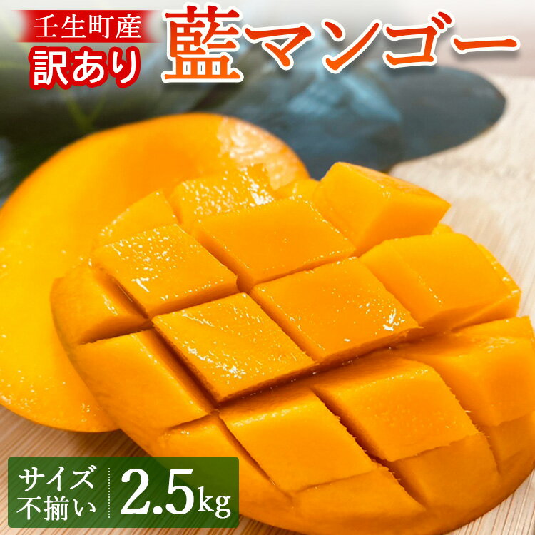 【ふるさと納税】《先行受付》訳あり 壬生町産藍マンゴー 2.5kg サイズ不揃い マンゴー フルーツ 果物...