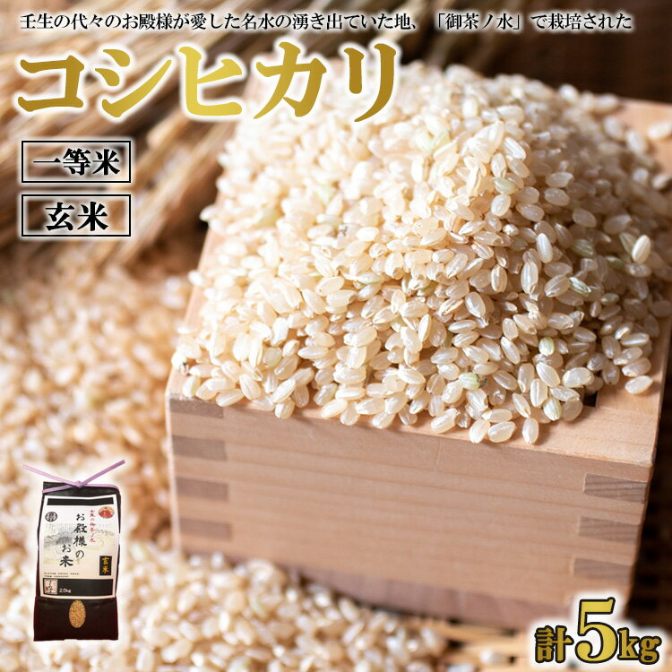 [令和5年産]コシヒカリ 玄米 2.5kg×2 計5kg 一等米 お殿様のお米 米 お米 おこめ こしひかり コメ こめ ご飯 ごはん 国産 栃木県 壬生町