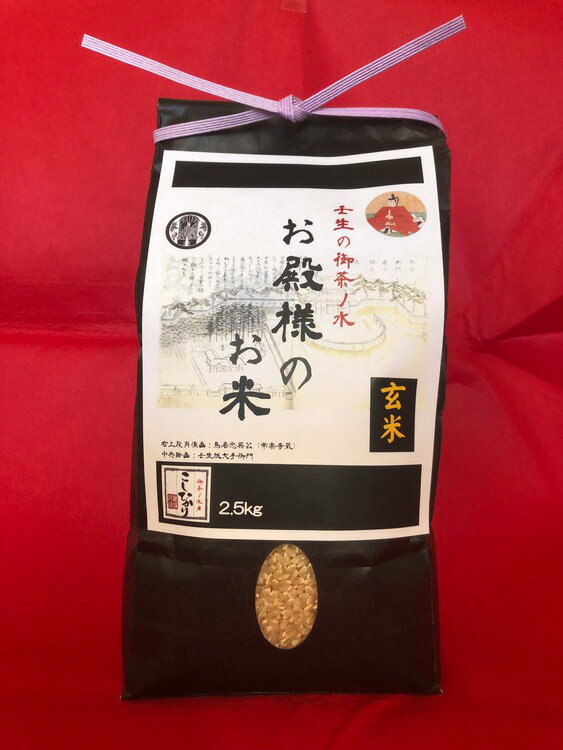 【ふるさと納税】《令和5年産》コシヒカリ 玄米 2.5kg×2 計5kg 一等米 お殿様のお米 米 お米 おこめ こしひかり コメ こめ ご飯 ごはん 国産 栃木県 壬生町