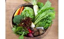 【ふるさと納税】オーガニック野菜セット 約8種類 有機野菜 野菜 詰め合わせ 栃木県壬生町