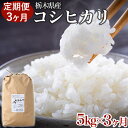 【ふるさと納税】【限定15セット】【定期便3ヶ月】令和5年産お米5kg 農薬不使用 栃木県産コシヒカリ 白米 おこめ 米 国産※着日指定不可※2023年9月中旬頃より順次発送予定