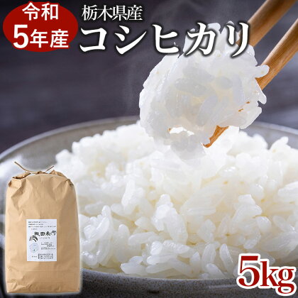 【限定15セット】令和5年産お米5kg 農薬不使用 栃木県産コシヒカリ 白米 おこめ 米 国産※着日指定不可※2023年9月中旬頃より順次発送予定