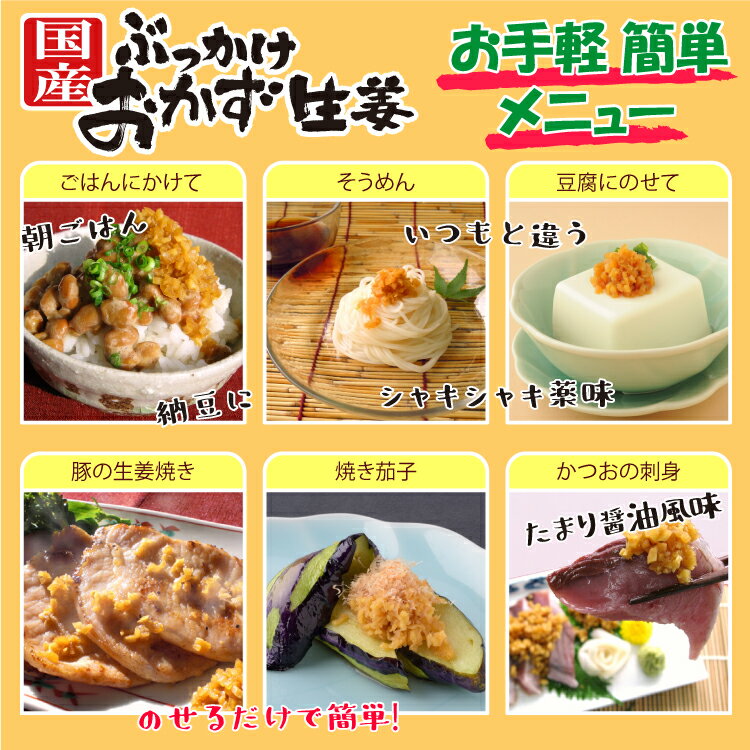 【ふるさと納税】国産ぶっかけおかず生姜 5袋 おかず ご飯のお供 ご飯 ごはん 生姜 国産 常温 栃木県 壬生町