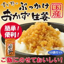 【ふるさと納税】国産ぶっかけおかず生姜 10袋 おかず ご飯のお供 ご飯 ごはん 生姜 国産 常温 栃木県 壬生町