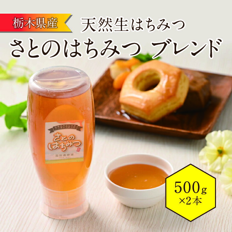 【ふるさと納税】さとのはちみつ ブレンド (500g 2本セット) 地元産 天然生はちみつ 国産 蜂蜜 ギフト 栃木県壬生町