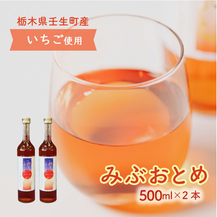 【ふるさと納税】みぶおとめ 500mL 2本　※2024年8月頃より順次発送予定