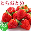 【ふるさと納税】とちおとめ 320g×2パック 3Lサイズ いちご 苺 イチゴ フルーツ 果物 国産 平積み※2023年12月下旬頃より順次発送予定