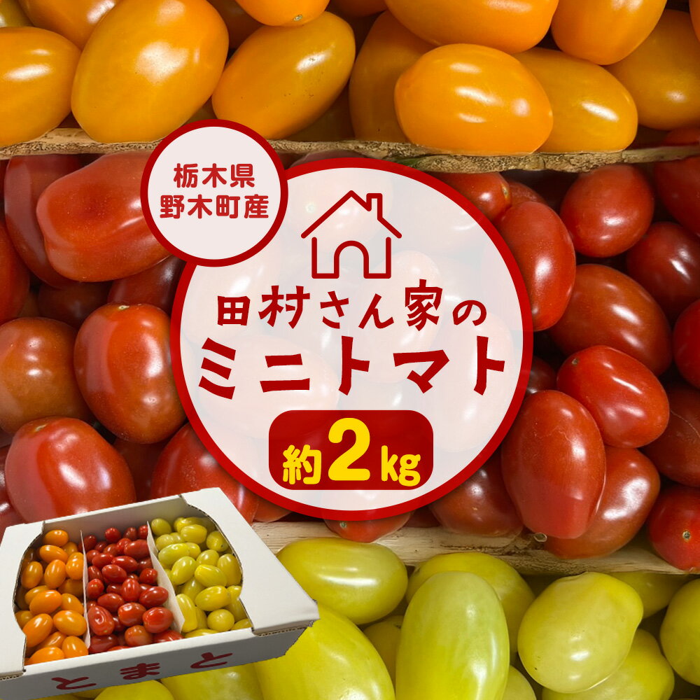 【ふるさと納税】田村さん家のミニトマト約2kg【栃木県野木町産】田村農園《11月上旬-7月下旬に出荷予定(土日祝除く)》トマト ミニトマト 野菜 新鮮 リコピン ビタミン 美容