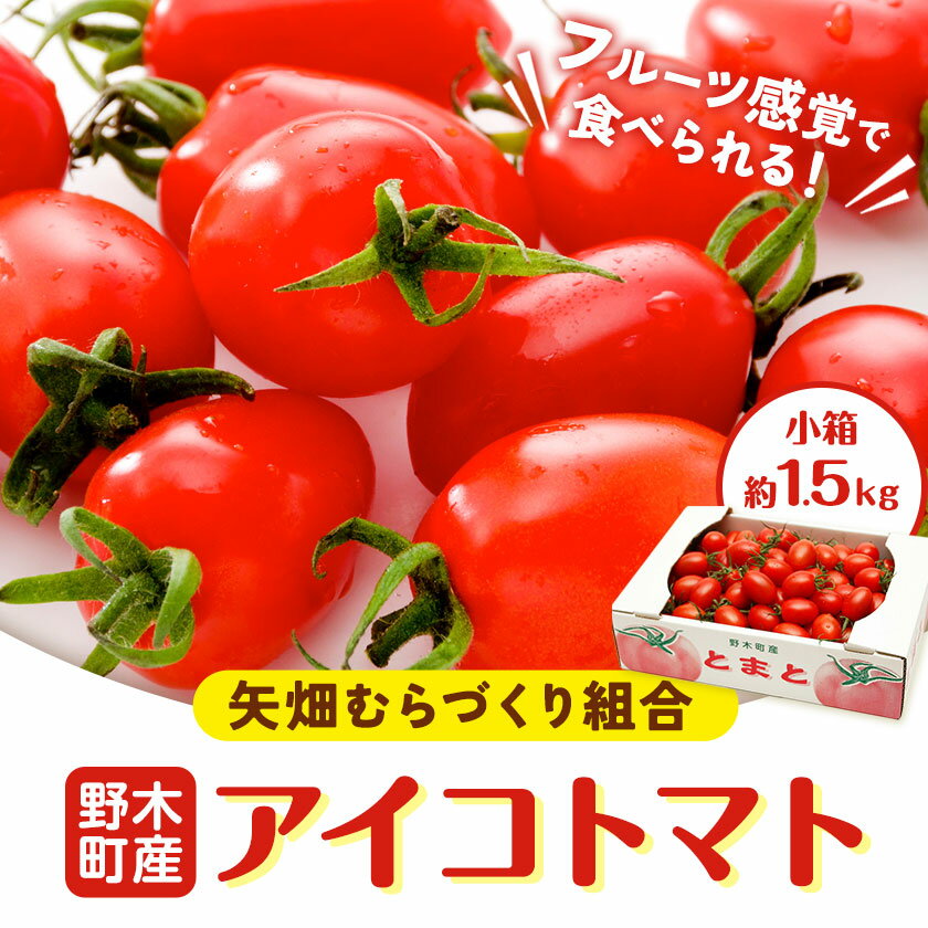【先行予約】【ふるさと納税】アイコ トマト 約1.5kg 小箱 栃木県 野木町産 矢畑むらづくり組合 《2025年10月上旬-2026年6月下旬頃出荷》栃木県 野木町 トマト ミニトマト 野菜 新鮮