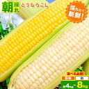 1位! 口コミ数「3件」評価「4.67」とうもろこし 恵味 白いとうもろこし 約4kg 10本入り 約8kg 20本入り 朝採れ クール便 野木町産 矢畑むらづくり組合 《6月下旬-7月下旬頃出荷》栃木県 野木町 トウモロコシ 野菜