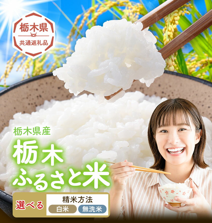 【ふるさと納税】米 無洗米 定期便 隔月あり 選べる 白米 無洗米 5kg 10kg 15kg 20kg《11月中旬から12月末頃出荷》《定期は翌々月より出荷開始》栃木 ふるさと米 栃木県 野木町 米 白米 精米 お米 おこめ 2ヶ月 3ヶ月 6ヶ月 9ヶ月 12ヶ月【栃木県共通返礼品】