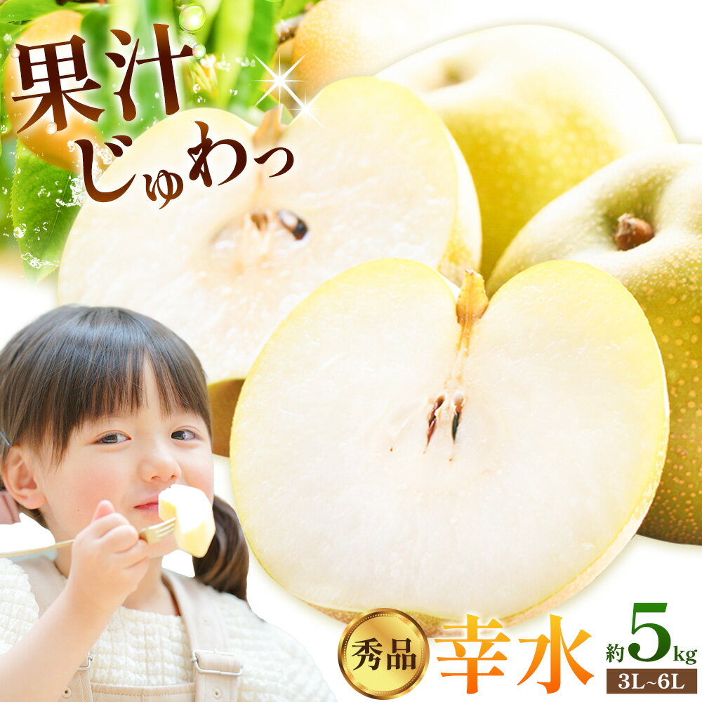 【ふるさと納税】梨 幸水 秀品 約5kg 3L ～ 6L 井岡農園 《8月上旬-8月末頃に出荷予定(土日祝除く)》 栃木県 野木町 なし ナシ くだもの 果物 青果物 フルーツのサムネイル