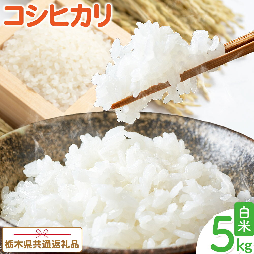米 お米 コシヒカリ 5kg 令和6年産 令和7年産 江戸屋農産株式会社[30日以内に出荷予定(土日祝除く)] 栃木県産 コメ 米 こしひかり コシヒカリ5kg 5キロ[栃木県共通返礼品]