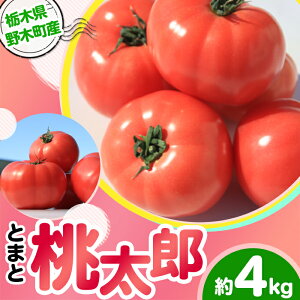【ふるさと納税】トマト 甘い 3602栃木県野木町産トマト桃太郎(約4kg)