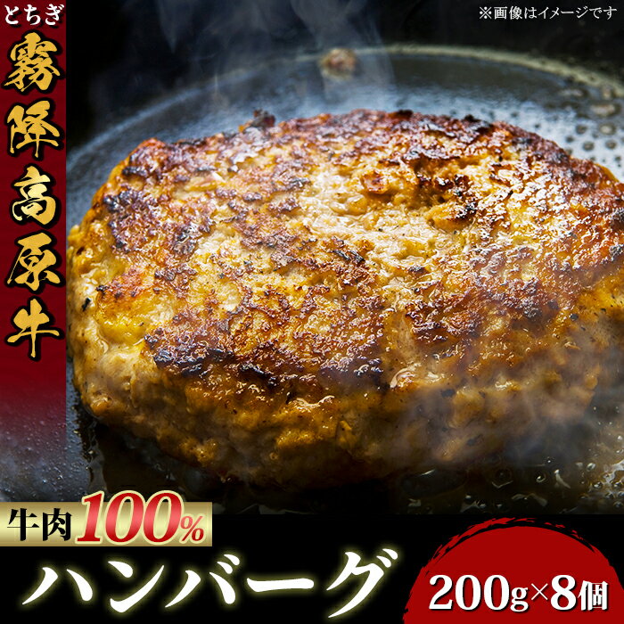 ハンバーグ 肉 牛肉 100% 冷凍 とちぎ霧降高原牛入り自家製ハンバーグ1.6kg(200g×8個)