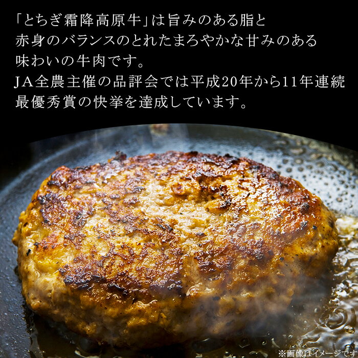 【ふるさと納税】ハンバーグ 肉 牛肉 100% 冷凍 とちぎ霧降高原牛入り自家製ハンバーグ1.6kg（200g×8個）