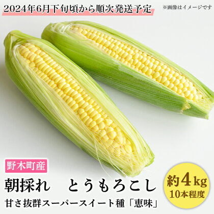 C04とうもろこし 約4kg 恵味 10本入り 朝採れ クール便 野木町産 【2024年6月下旬頃から順次発送予定】