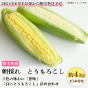 2位! 口コミ数「13件」評価「4」C06とうもろこし 約4kg 黄白詰合せ 10本入り 朝採れ クール便 野木町産 【2024年6月下旬頃から順次発送予定】