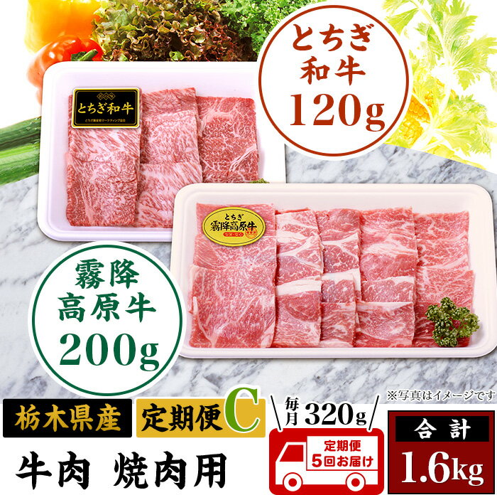 【ふるさと納税】G003・栃木県産牛肉焼肉用定期便C(毎月320g:全5回お届け)