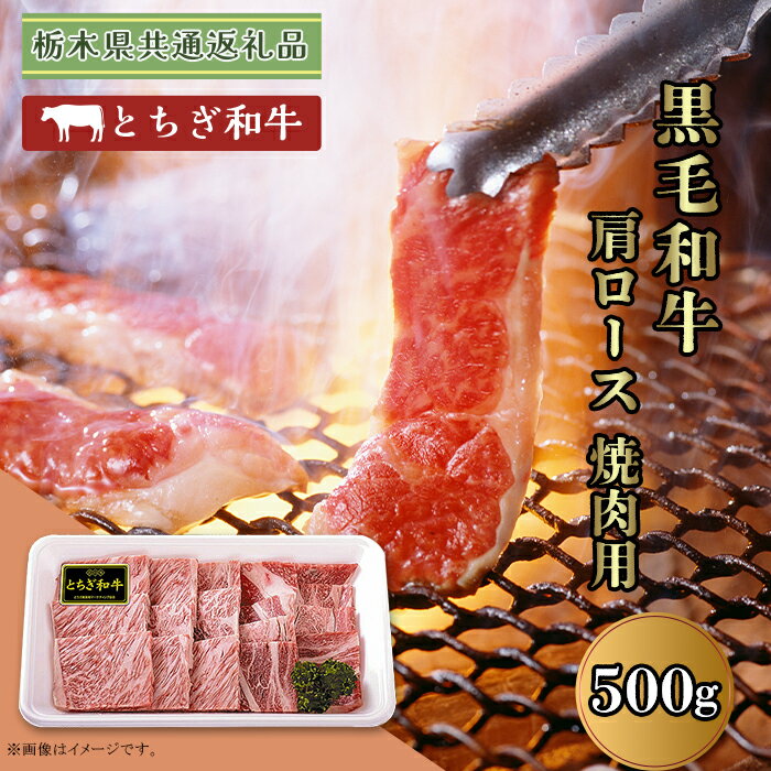 【ふるさと納税】黒毛和牛 肩ロース 約500g 焼肉 栃木県 ブランド 牛 とちぎ和牛 高級 牛肉 スライス B008 【栃木県共通返礼品 栃木県産】