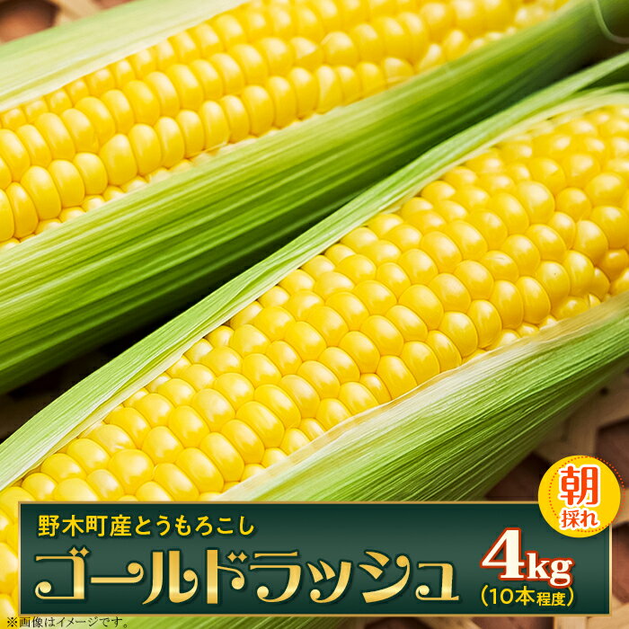 15位! 口コミ数「0件」評価「0」とうもろこし 野木町産 ジューシー 生食可能 旬の野菜 健康食 バーベキュー 焼き 茹で とうもろこし 10本程度 約4kg ゴールドラッシ･･･ 