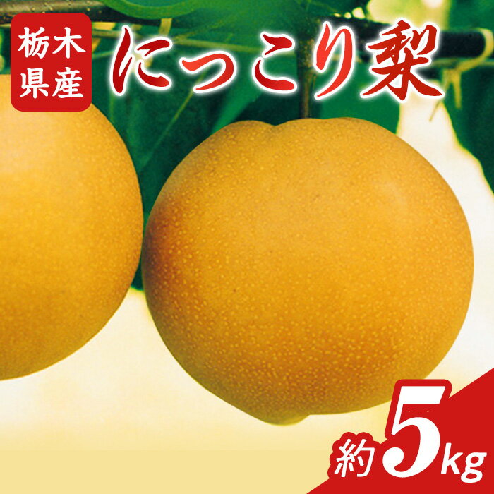 【ふるさと納税】N05 梨 なし にっこり梨 5kg フルーツ 先行予約 2024年 10月 中旬頃 栃木県