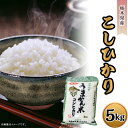 新米 令和5年産 こしひかり 白米 5kg J05 こしひかり 5kg うまかん米 JAおやま 栃木県産