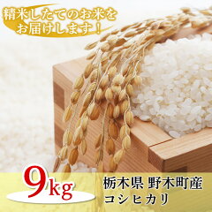 【ふるさと納税】K01栃木県野木町産コシヒカリ（約9kg・精米つきたて）
