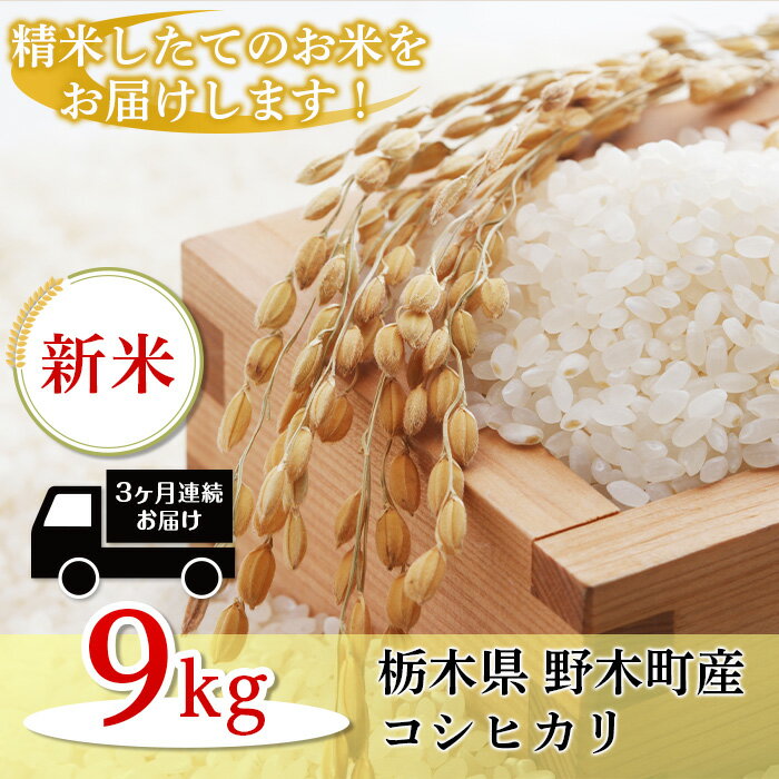 【ふるさと納税】米 定期便 コメ 玄米 10kg 精米 K0