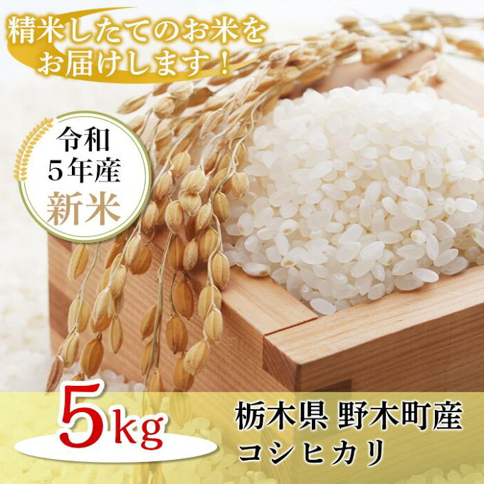 【ふるさと納税】新米 令和5年産 こしひかり 白米 5kg K08 こしひかり 5kg 栃木県産 精米 つきたて